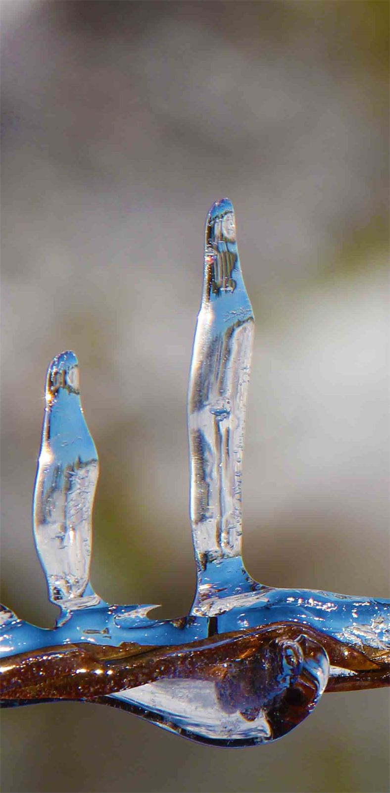 Austin Texas Art Exhibition Gallery